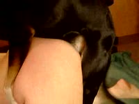 Slut's perky ass got banged hard by black dog xxx